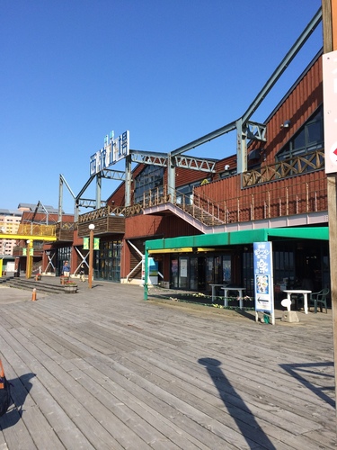 2015-07-06 15.17.47.jpg