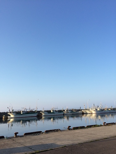2015-07-06 18.06.16.jpg