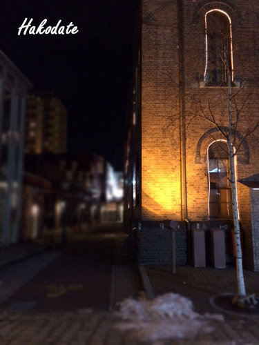 写真-115.jpg